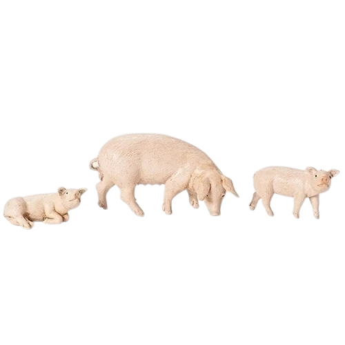 Pigs For A Nativity Scene - 3 Piece - 5 Inch Scale 1 Pigs For A Nativity Scene - 3 Piece - 5 Inch Scale